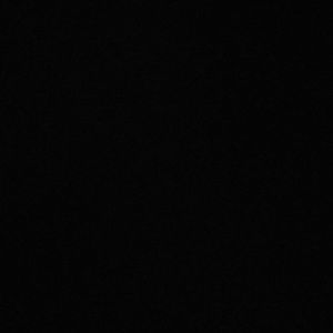 Meet your Posher, Ricky